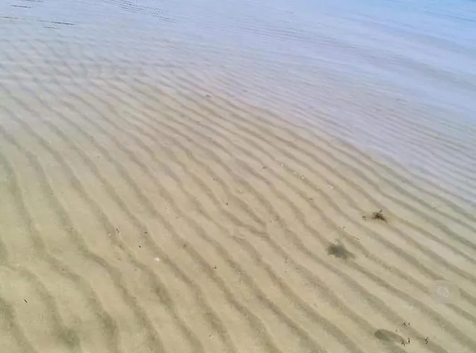 Tanja Апартаменты