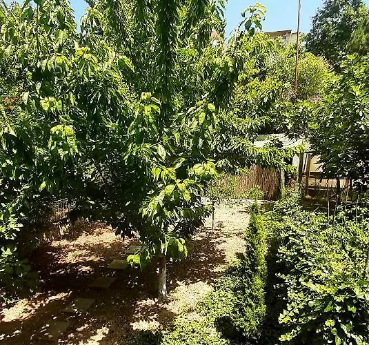 Tanja Апартаменты